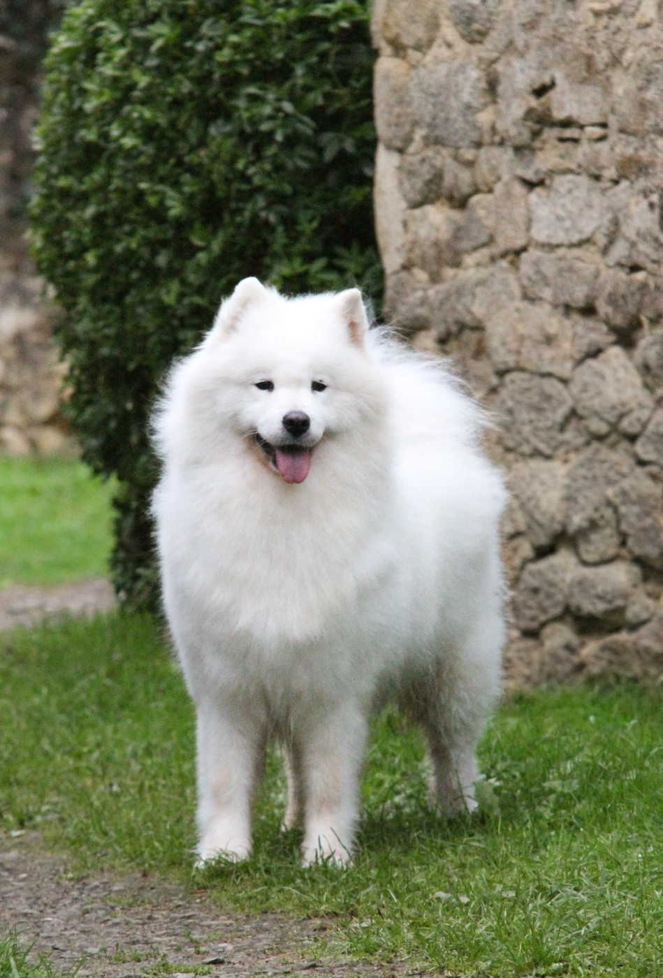 show me the gold Sam's North Prim